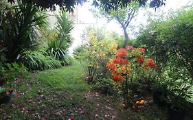 Il Giardino delle Ortensie